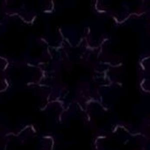 Meet your Posher, Harley